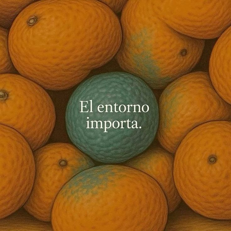 ​El Entorno Importa: Un Enfoque desde la Terapia Cognitivo-Conductual