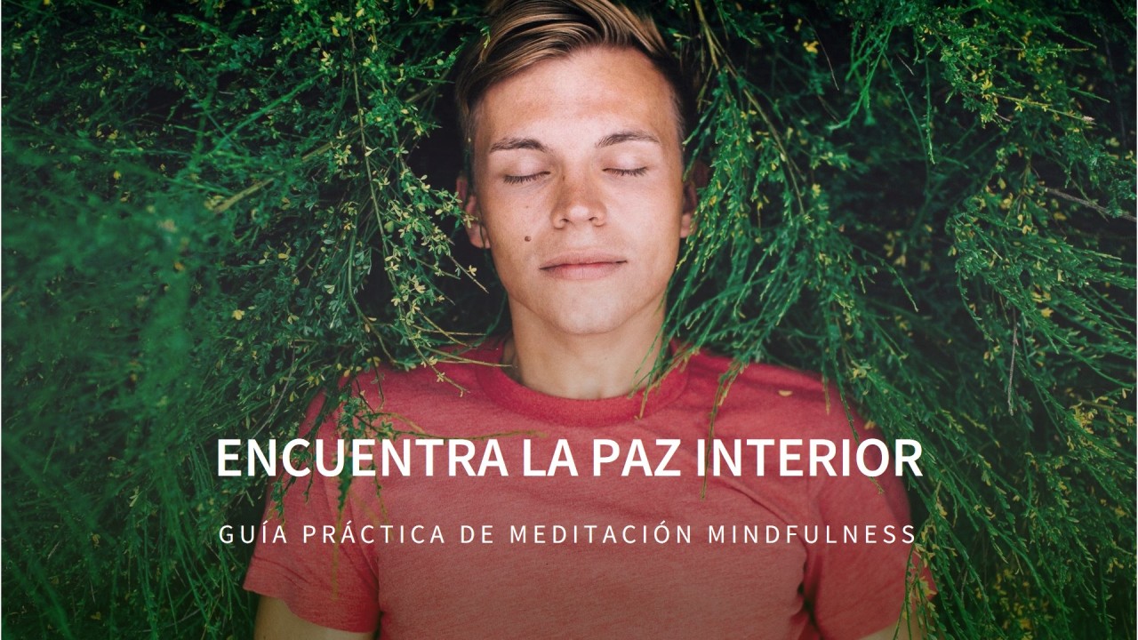 Descubre la Paz Interior: Guía Práctica para la Meditación Mindfulness