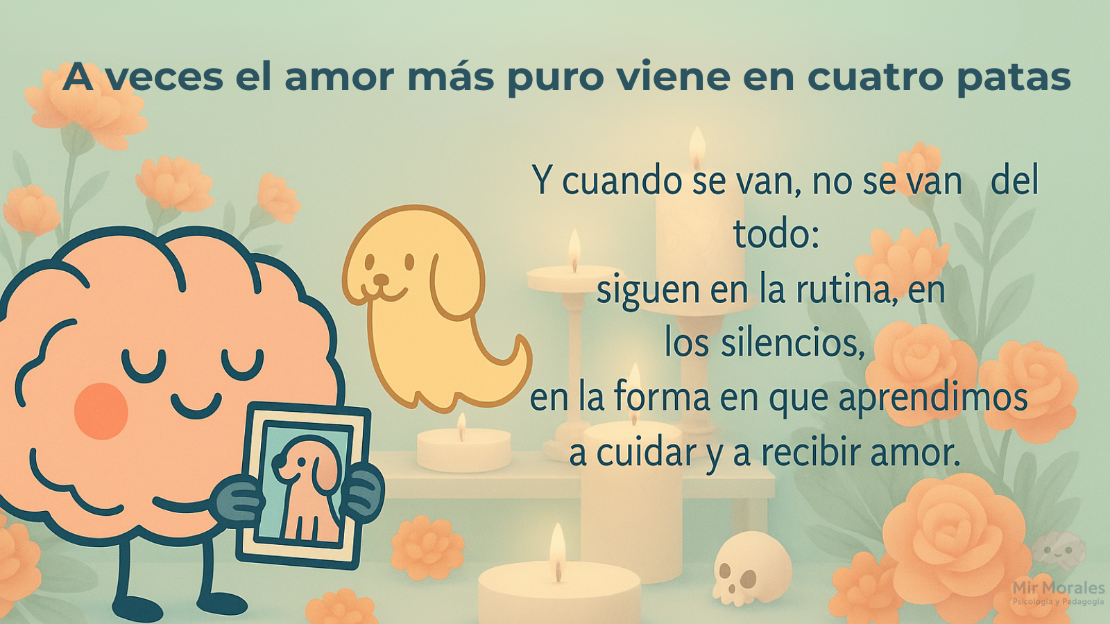 🐾El duelo por una mascota también merece cuidado