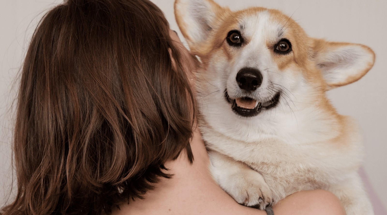 Huellas de amor: el duelo por mascotas en la adultez y la vejez