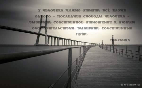 Как найти смысл, когда кажется, что всё потеряно?