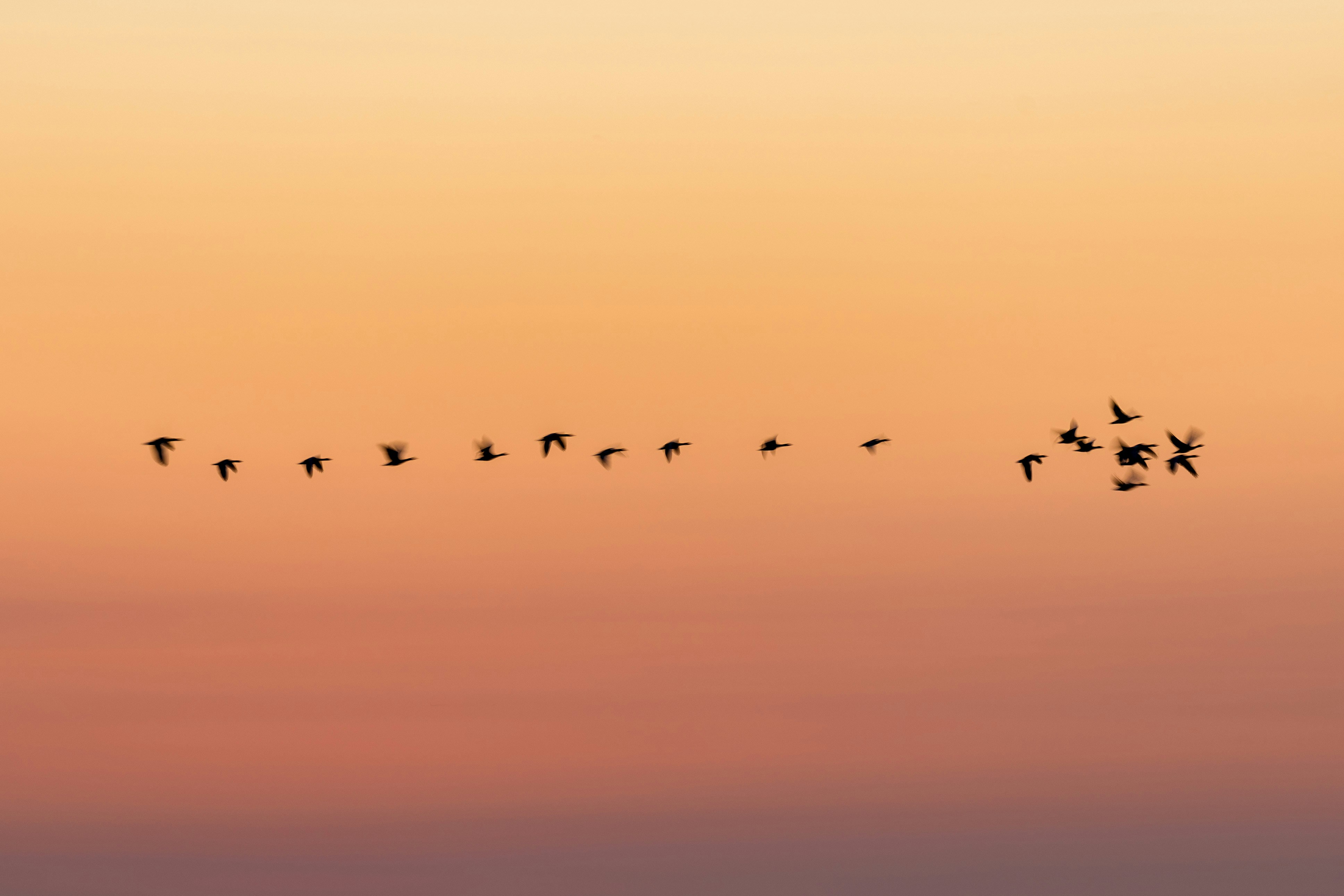 Migración, identidad y salud mental