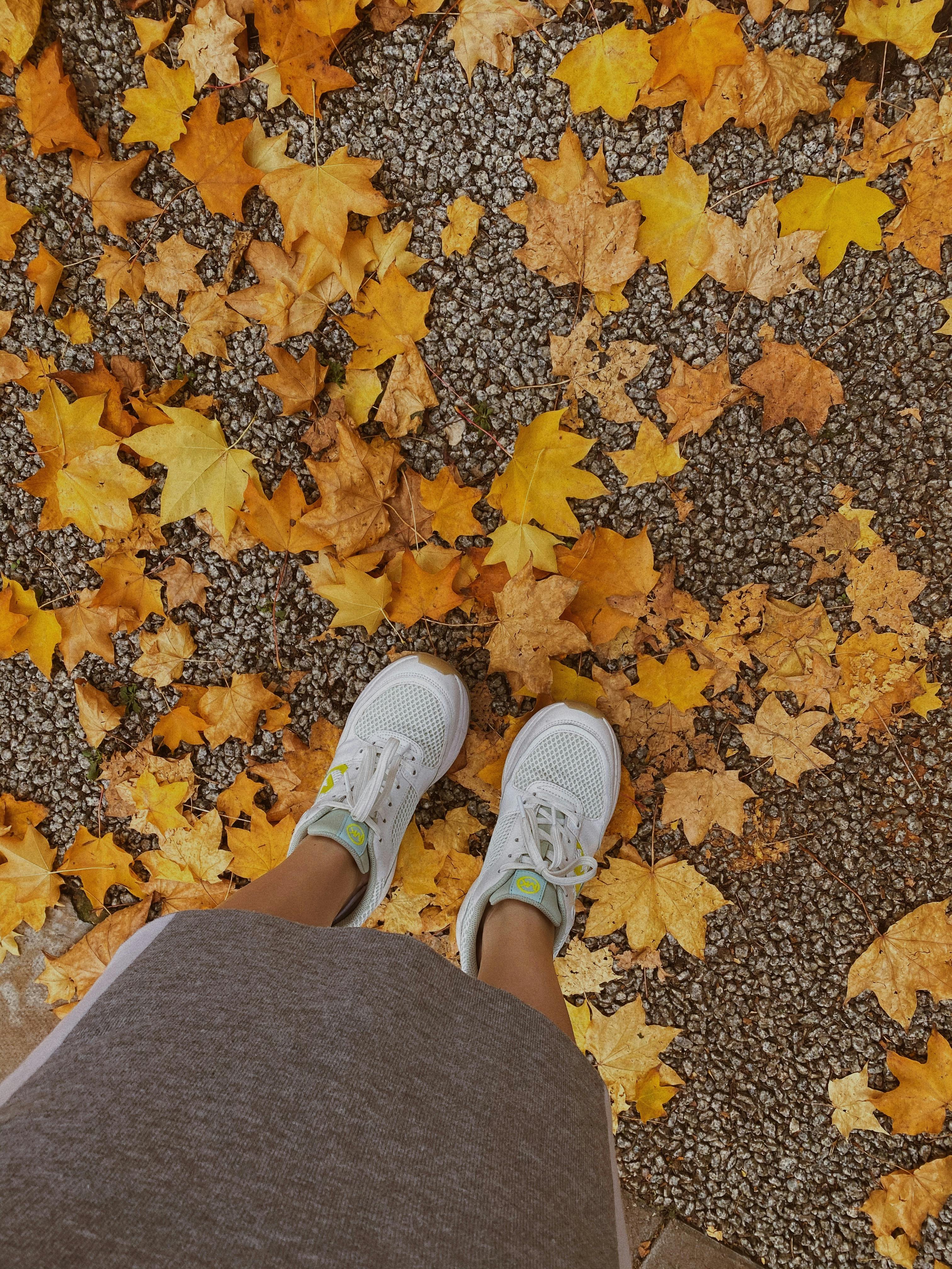 Sanando las Heridas del Pasado: Un Camino Hacia la Liberación y el Bienestar